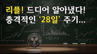 드디어 풀린 리플 가격의 미스테리!