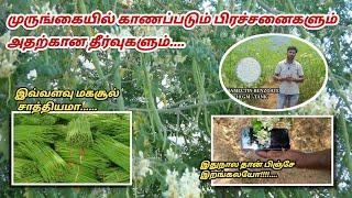 [Drumstick Farming tips]...முருங்கை விவசாயம் Tips....