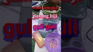 terima panggilan pasang guli guli