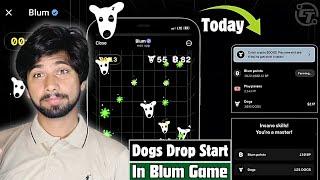 Today Blum Airdrop Update | Blum dogs Airdrop, Blum dogs news