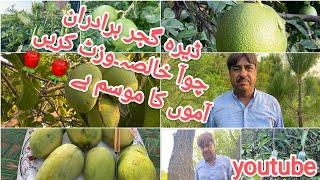 Choa Khalsa. Dera Ch Ayaz Gujjar Adv. Ch Abrar Gujjar. Nambardar Ch Waqas Gujjar. Visit with family
