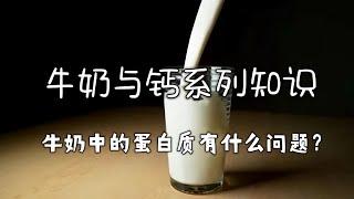 【牛奶与钙知识系列】之「牛奶篇」 牛奶中的蛋白质有什么问题？