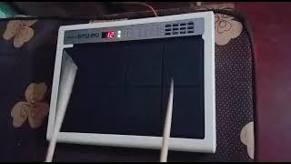 Rajasthani Tone Rolanad 20 pad, player by Rajni