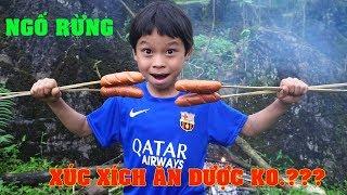 NGỐ RỪNG  # 1 -  CHƯA ĂN XÚC XÍCH BAO GIỜ - ĐÔNG BẮC QUÊ TÔI