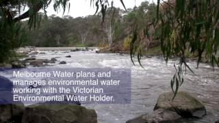 Environmental water release for Yarra River