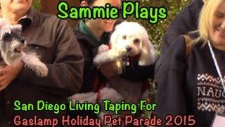 San Diego Living Taping for Gaslamp Holiday Pet Parade 2015 SP #65