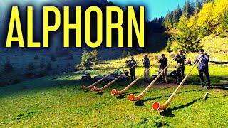 Alphorn Schweiz | швейцарские Альпы| моя Швейцария