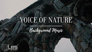 Voice of Nature : Acoustic Guitar Folk Background Music