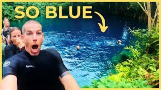 VANUATU Just Keeps Giving! - Part 2 | S3E27