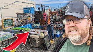 Game Hunting at the Worlds Smallest Flea Market