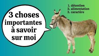 Les ÂNES, ces animaux si mal connus : 3 choses importantes à savoir sur eux