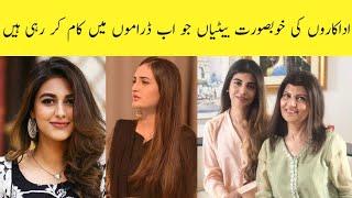 Pakistani Actor's Daughters Who Are Working In Dramas Now || Areeba Meer||