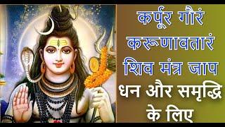 कर्पूर गौरं करुणावतारं मंत्र के जाप  के साथ साधना से चमत्कारी लाभ :#shiva #shiv #shankar #bholenath