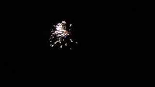 54. Video Silvester 2012/13 -  Pyro Art X 7 Golden Willow