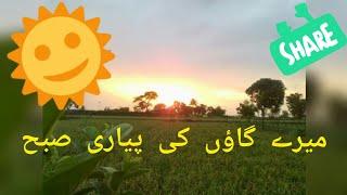 Village morning at 49tda by Rashad happyvibes