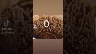 تعلم قراءة الفنجان او تعلم تبصير بالفنجان ، يوجد بالفنجان رموز وكل رمز له معنى اذا شفت صفر بالفنجان