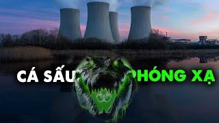 Why does this American nuclear plant have 2,000 ALLIGATORS living around?