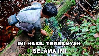 PANEN IKAN LELE DALAM SATU BUBU, INI YG TERBANYAK‼️