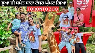 Toronto Zoo Full Tour | Canada's Biggest Zoo | Silver Back Gorilla vs Polar Bear vs Tiger