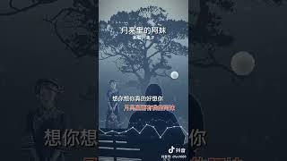 《 月亮里的阿妹 》演唱：嘿孑