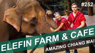 ELEFIN FARM AND CAFE - #252 - AMAZING CHIANG MAI