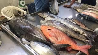 Amazing Live Fish Cutting Skills and Fish Market