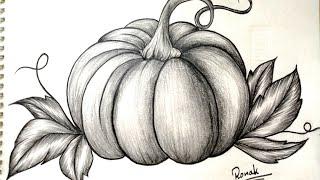 Pumpkin Drawing। How to shade for beginners। Pencil art tutorial @ronaksdrawing