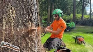 Backyard LOGGING!! Felling And Moving BIG FIR logs With The Avant 528!