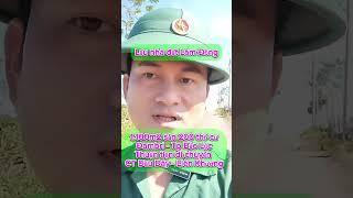 Launhadatlamdong_Nền biệt thự Đambri - Tp Bảo Lộc, giá siêu mỏng, 0908078335