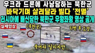 우크라 드론에 사냥당하는 북한군바닥기며 살려달라 빌다 ‘전멸’러시아에 배신당한 북한군 우왕좌왕 영상 공개