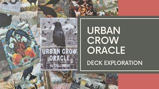 Urban Crow Oracle by MJ Cullinane (3rd Printing) - Deck Exploration