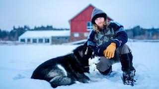 Life on the Farm in Norway, Story 4: Winter, grant applications and silo demolition 