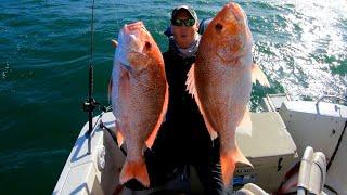 Reeling in Giant Red Snapper! - 3 Man TX State Snapper Limit!