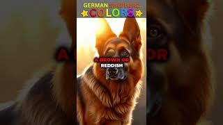 How Many German Shepherd Colors Are There? (Rare German Shepherd Dog Colors) (Ai Dogs) #doglovers