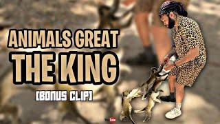 Animal greeting the king... (Must Watch)