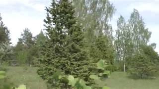 Estonia nature Kurese alvar 50FPS 1080P