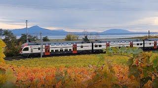 Trains suisse - La Côte - Aubonne - Etoy - Suisse Romande - Switzerland