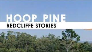 Redcliffe Aboriginal Stories: Hoop Pine