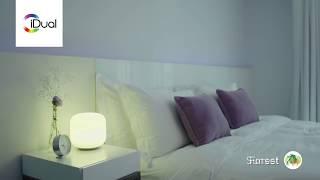 iDual table lamp - Thyme