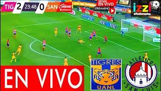  TIGRES vs ATLÉTICO SAN LUIS EN VIVO  LIGA MX - CUARTOS DE FINAL