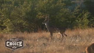 Archer's Choice with Ralph and Vicki Buck Montage from last fall in MT, KY and TX