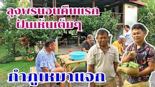 ลุงพรนอนคืนแรกฝันเห็น 3 ตัว กำภูวิ่งหามาแจก? #บ้านสวนกำภูEp1155