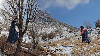 Alone in the Mountains: The Hardships of a Poor, Single Mother Who Was Driven Out