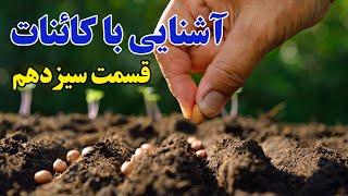 آشنایی با کائنات 13 - کاشت و برداشت (ذهن پنهان) "Planting" حمید قهرمانی