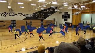 LNSE Color Guard
