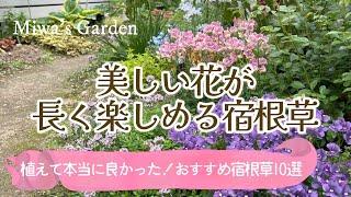 【ガーデニング＊おすすめ宿根草】植えて良かった！おしゃれで花期が長い美しい宿根草・多年草10選/素敵な庭づくり