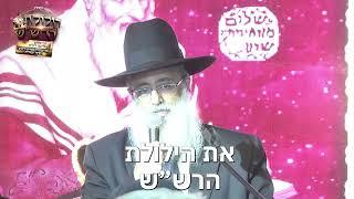 בפעם ה-25 זה קורה: ההילולא המסורתית לבני תימן | כולם חייבים להיות שם | הבטיחו את מקומכם!