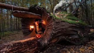 Building a Warm and Cozy Hollow for Survival, in the root of a fallen spruce. Secret cave, Bushcraft