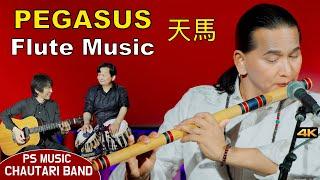 Pegasus | Flute Music | Flutesong | Bansuri Tabla | Basuridhun | Instrumental Music Live in Japan 4k