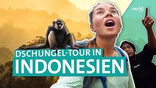 Backpacking in Indonesien: Dschungel-Tour auf Sumatra | Young Adventurers | ARD Reisen